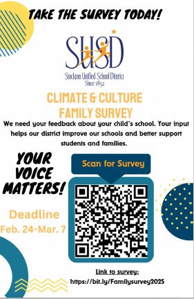  Panorama Survey